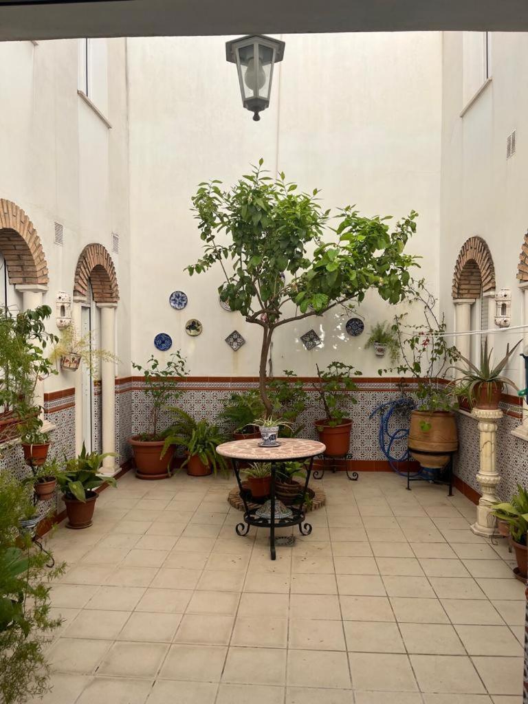 Alyana Hostel Κόρδοβα Εξωτερικό φωτογραφία