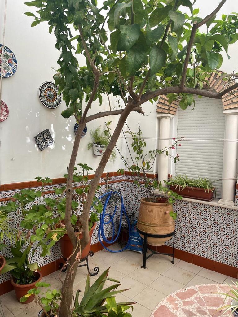 Alyana Hostel Κόρδοβα Εξωτερικό φωτογραφία